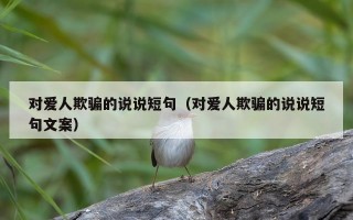 对爱人欺骗的说说短句（对爱人欺骗的说说短句文案）