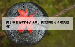 关于我爱你的句子（关于我爱你的句子唯美短句）