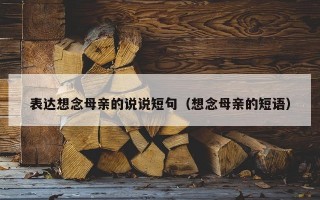表达想念母亲的说说短句（想念母亲的短语）