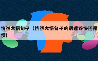 恍然大悟句子（恍然大悟句子的语速该快还是慢）