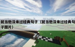 就当他没来过经典句子（就当他没来过经典句子图片）