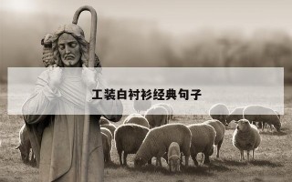工装白衬衫经典句子