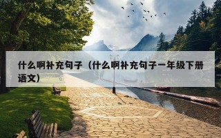 什么啊补充句子（什么啊补充句子一年级下册语文）