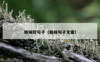 姐妹短句子（姐妹句子文案）