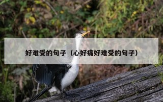 好难受的句子（心好痛好难受的句子）