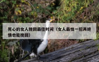 死心的女人挽回最佳时间（女人最怕一招再绝情也能挽回）