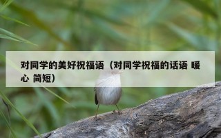 对同学的美好祝福语（对同学祝福的话语 暖心 简短）