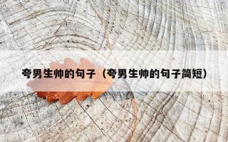夸男生帅的句子（夸男生帅的句子简短）