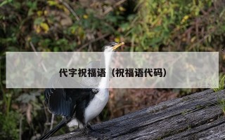 代字祝福语（祝福语代码）