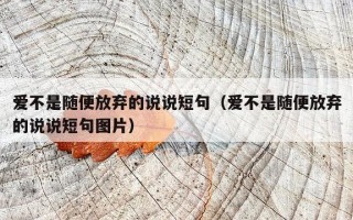 爱不是随便放弃的说说短句（爱不是随便放弃的说说短句图片）