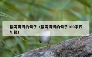 描写洱海的句子（描写洱海的句子100字四年级）