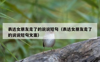 表达女朋友走了的说说短句（表达女朋友走了的说说短句文案）
