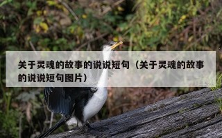 关于灵魂的故事的说说短句（关于灵魂的故事的说说短句图片）
