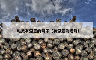 唯美有深意的句子（有深意的短句）