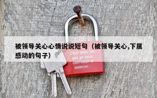 被领导关心心情说说短句（被领导关心,下属感动的句子）
