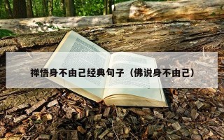 禅悟身不由己经典句子（佛说身不由己）