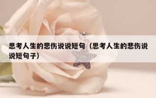 思考人生的悲伤说说短句（思考人生的悲伤说说短句子）