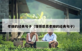 孝顺的经典句子（懂得感恩孝顺的经典句子）