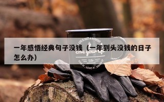 一年感悟经典句子没钱（一年到头没钱的日子怎么办）