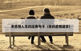 茶感悟人生的经典句子（茶的感悟语言）