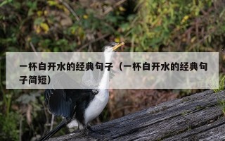 一杯白开水的经典句子（一杯白开水的经典句子简短）
