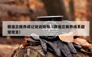 霸道总裁养成记说说短句（霸道总裁养成系甜宠现言）