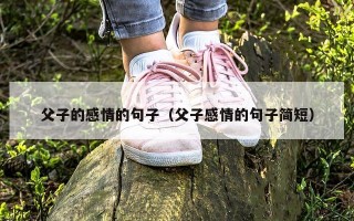 父子的感情的句子（父子感情的句子简短）