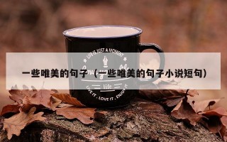 一些唯美的句子（一些唯美的句子小说短句）