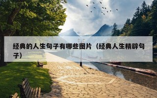经典的人生句子有哪些图片（经典人生精辟句子）