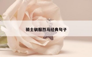 骑士驯服烈马经典句子