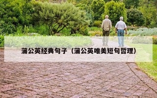 蒲公英经典句子（蒲公英唯美短句哲理）
