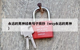 永远的男神经典句子摘抄（wsy永远的男神）