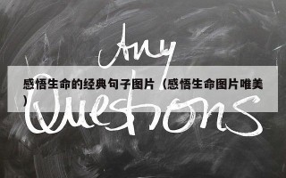 感悟生命的经典句子图片（感悟生命图片唯美）