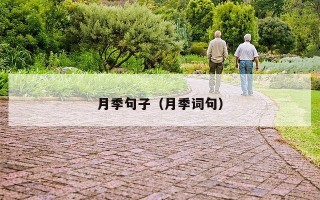 月季句子（月季词句）