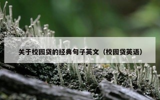 关于校园贷的经典句子英文（校园贷英语）