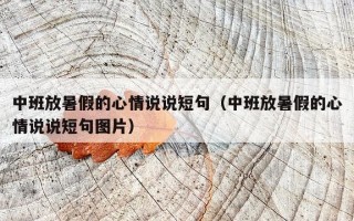 中班放暑假的心情说说短句（中班放暑假的心情说说短句图片）