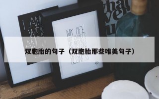 双胞胎的句子（双胞胎那些唯美句子）