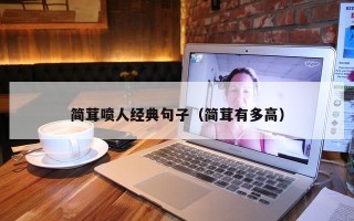 简茸喷人经典句子（简茸有多高）
