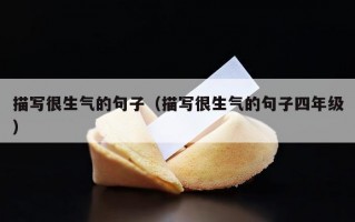 描写很生气的句子（描写很生气的句子四年级）