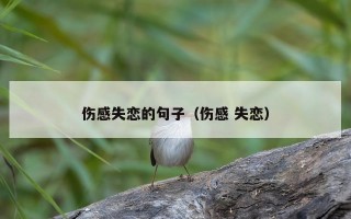 伤感失恋的句子（伤感 失恋）