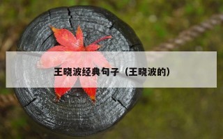 王晓波经典句子（王晓波的）