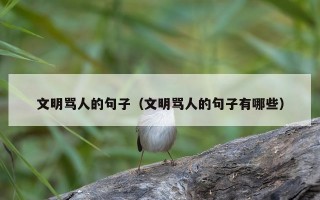 文明骂人的句子（文明骂人的句子有哪些）