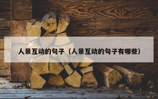 人景互动的句子（人景互动的句子有哪些）
