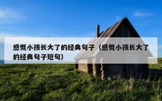 感慨小孩长大了的经典句子（感慨小孩长大了的经典句子短句）