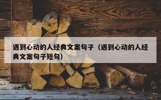 遇到心动的人经典文案句子（遇到心动的人经典文案句子短句）
