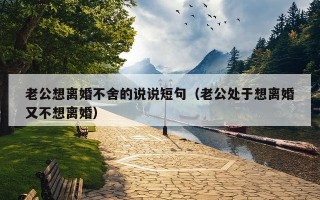 老公想离婚不舍的说说短句（老公处于想离婚又不想离婚）