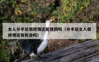 女人分手后很绝情还能挽回吗（分手后女人很绝情还有机会吗）