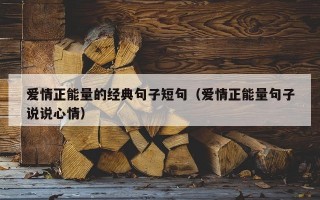 爱情正能量的经典句子短句（爱情正能量句子说说心情）