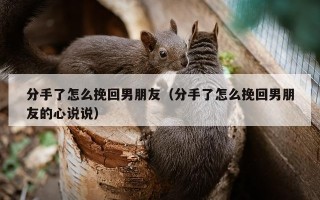 分手了怎么挽回男朋友（分手了怎么挽回男朋友的心说说）