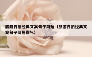 旅游自拍经典文案句子简短（旅游自拍经典文案句子简短霸气）